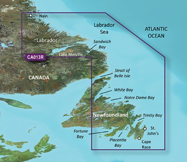 Garmin BlueChart g2 Vision - Labrador Coast JUL 08 (CA013R) SD Card - Garmin