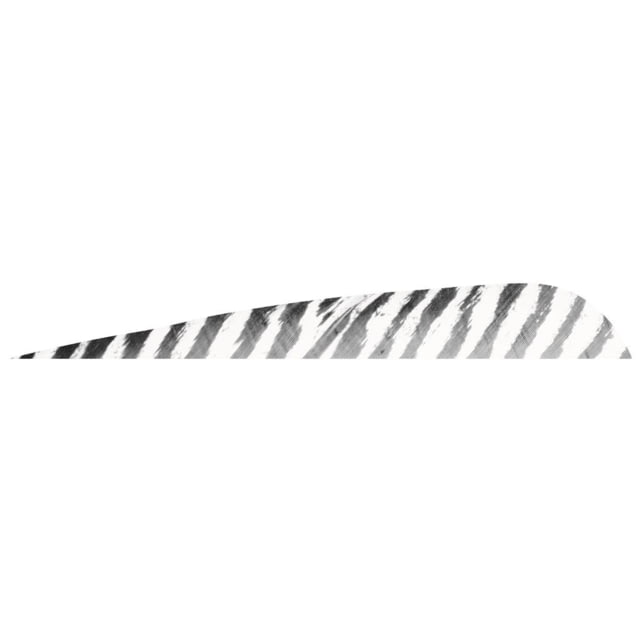 Gateway Barred Feathers White 5 in. RW 50 pk. - Gateway