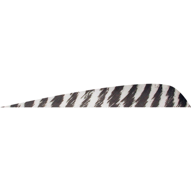 Gateway Parabolic Feathers 1406925 White - Gateway