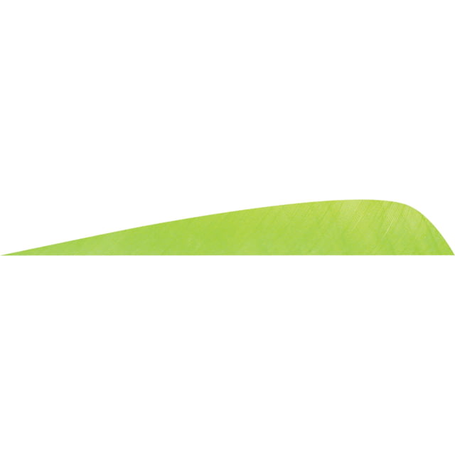 Gateway Parabolic Feathers 1407009 Chartreuse