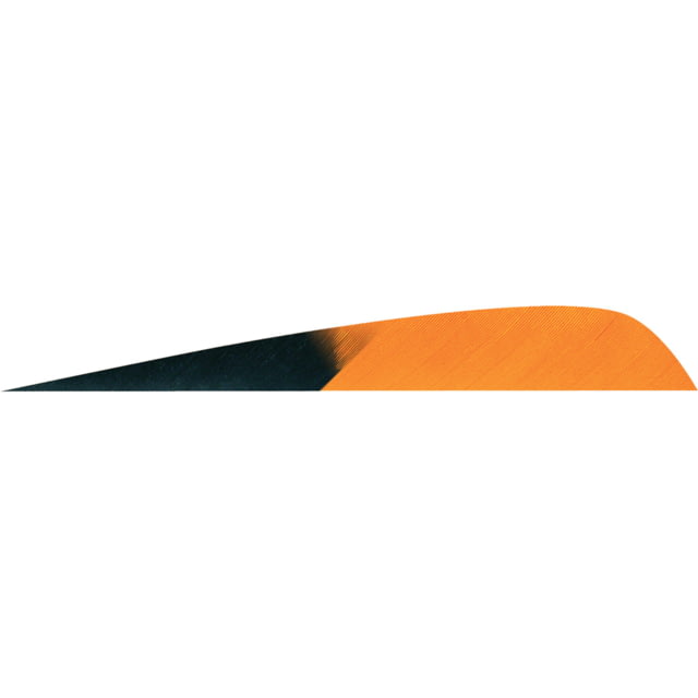 Gateway Parabolic Feathers 1407028 Orange - Gateway