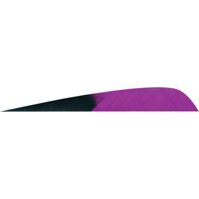 Gateway Parabolic Feathers 1407034 Purple - Gateway