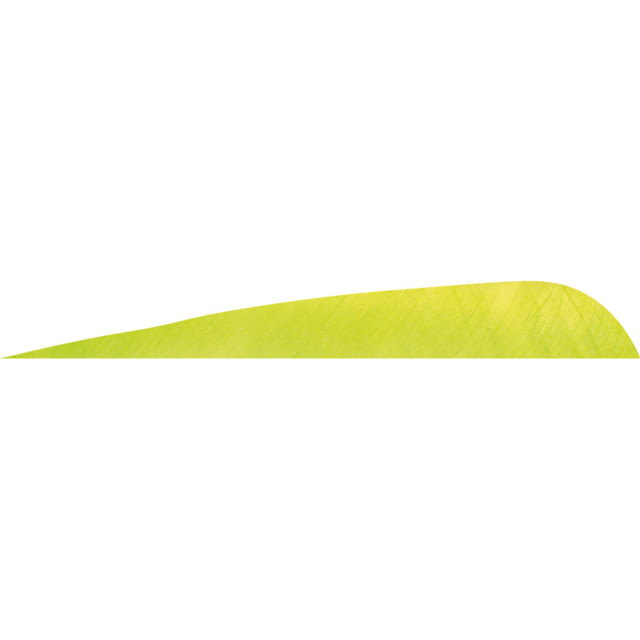 Gateway Parabolic Feathers 1407038 Lime