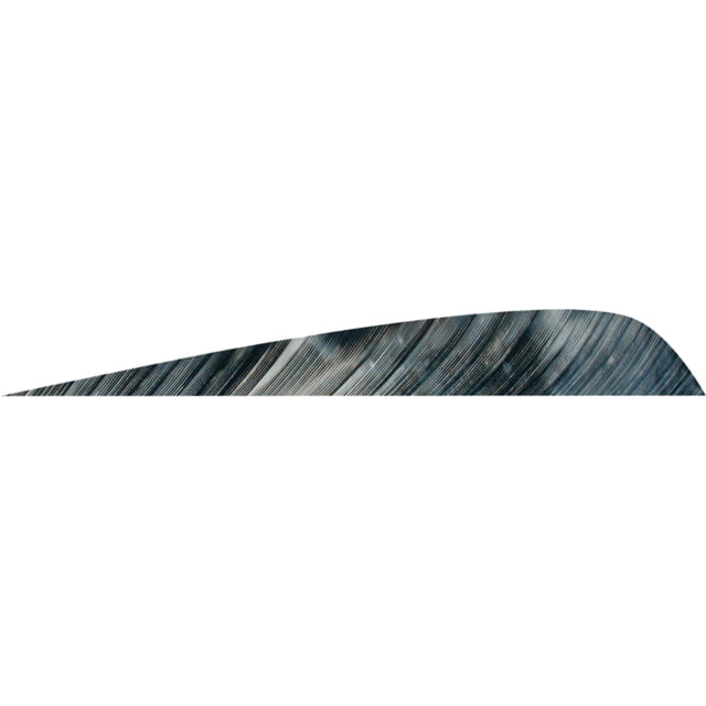 Gateway Parabolic Feathers 1407046 Brown