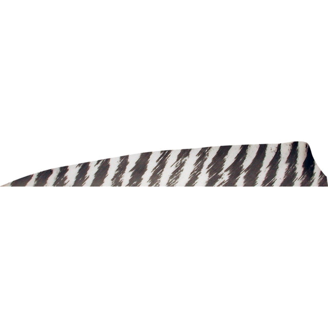 Gateway Shield Cut Feathers 1406973 White