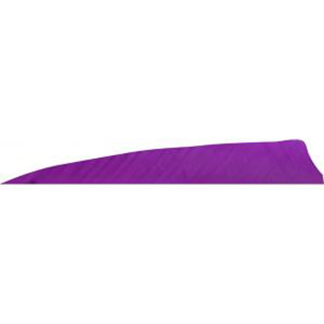 Gateway Shield Cut Feathers 1406995 Purple - Gateway