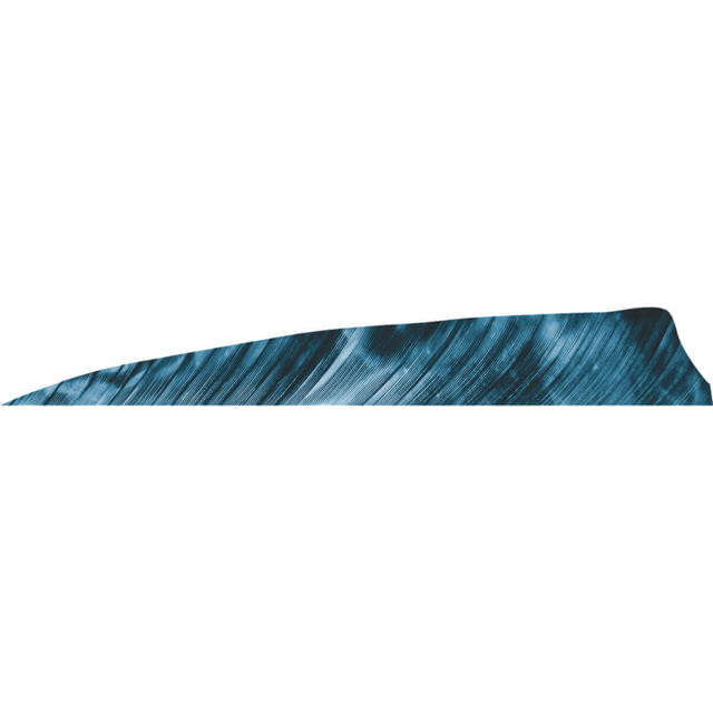 Gateway Shield Cut Feathers 1407001 Blue - Gateway