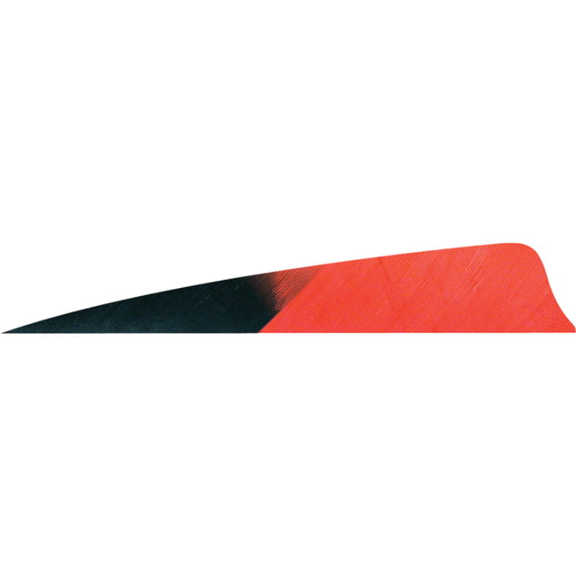 Gateway Shield Cut Feathers 1407085 Red