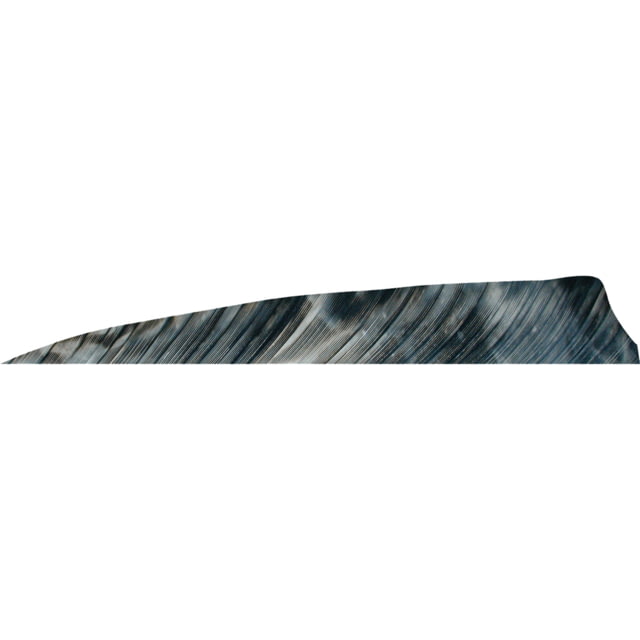 Gateway Shield Cut Feathers 1407095 Brown