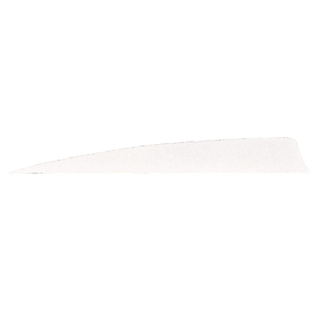 Gateway Shield Cut Feathers White 5 in. RW 50 pk.