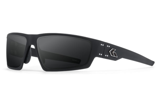 Gatorz Warhawk Sunglasses Black Silver Logo Smoke Black One Size - Gatorz