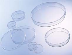 Greiner Bio-One CELLSTAR Tissue Culture Dishes Polystyrene Sterile Greiner Bio-One