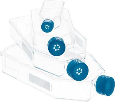 Greiner Bio-One Flask Culture Screw Cap Cs120 Unit CS