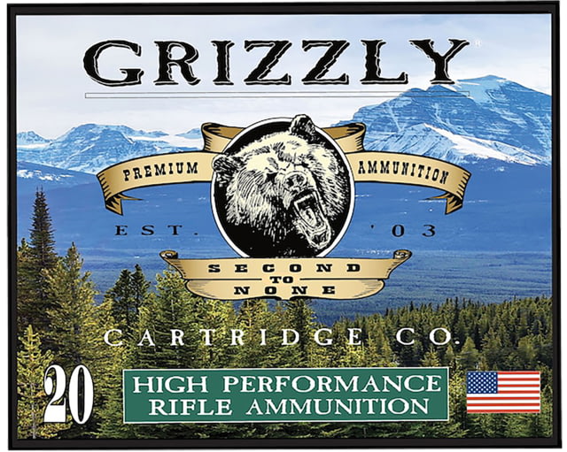 zzly .45-70 Government P 525 Grain Full Metal Jacket Flat Point Rifle 20 Rounds Ammo