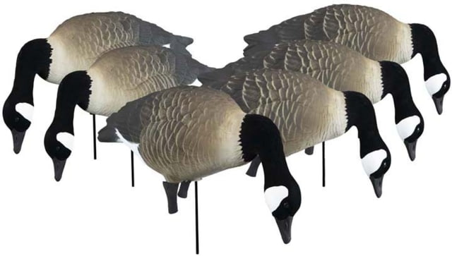 Higdon Outdoors APEX Full-Size Full-Body TruFeeder Decoy Canada 6 Pack - Higdon Outdoors
