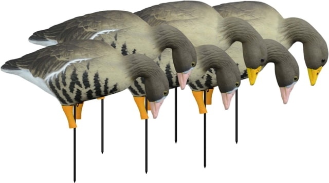 Higdon Outdoors APEX Full-Size Full-Body Feeder Pack Decoy Specklebelly 6 Pack - Higdon Outdoors