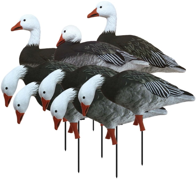 Higdon Outdoors APEX Full-Size Full-Body Variety Pack Decoy 8 Pack Blue - Higdon Outdoors