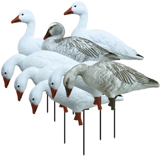 Higdon Outdoors APEX Full-Size Full-Body Variety Pack Decoy Snow/Juvenile - Higdon Outdoors