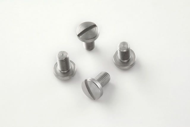 Hogue Govt. Model Screws (4) Slotted Head Stainless - Hogue