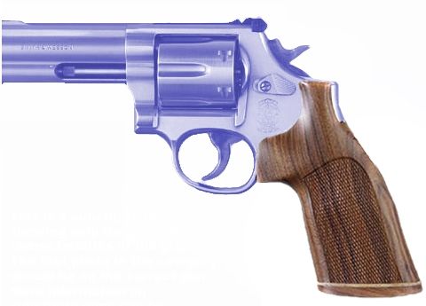 Hogue Handgun Grip Coco Bolo Stripe Cap Checkered - S&W N Rd. Conversion