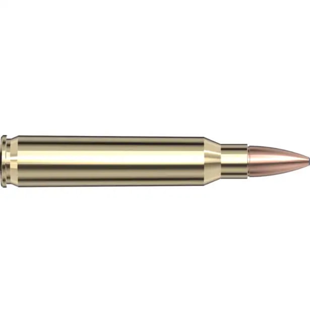 Hornady Frontier .223 Remington 55 Grain Full Metal Jacket Brass Cased Centerfire Rifle Ammo 500 Round - Hornady
