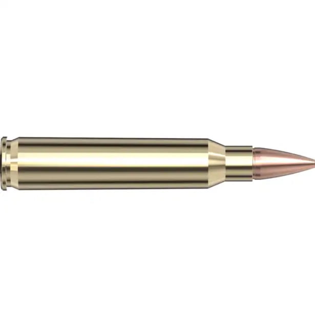 nady Frontier .223 Remington 55 Grain Hollow Point Brass Cased Centerfire Rifle 500 Round Ammo