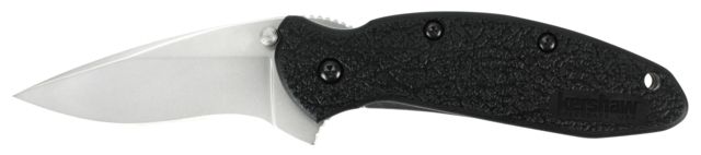 Kershaw Scallion Assisted Folding Knife 2.4in 420HC Drop Point Blade Glass-Filled Nylon Handle Box