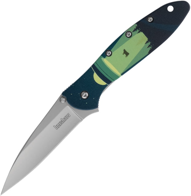 Kershaw Leek Linerlock A/O UFO Abducti KS - Kershaw