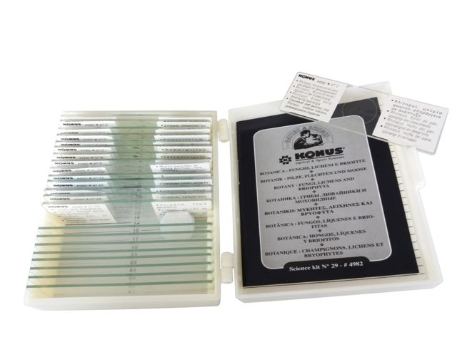 Konus Prepared Slides for Konus Kids Microscopes Set of 15 Fungi Lichens and Briophyta