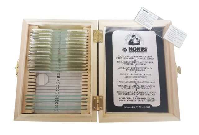 Konus Prepared Slides for Konus Kids Microscopes Set of 15 Reproduction in Invertebrates