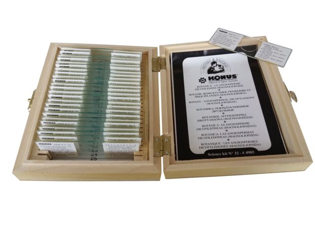 Konus Prepared Slides for Konus Kids Microscopes Set of 25 Botany Angiospermae Dicotyledons Magnoliopsidae