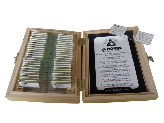 Konus Prepared Slides for Konus Kids Microscopes Set of 25 Botany Hepaticae Mosses Pteridophytae and Gymnosperms