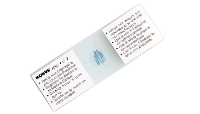 Konus Prepared Slides for Konus Kids Microscopes Set of 25 Human Body Structure of Organs