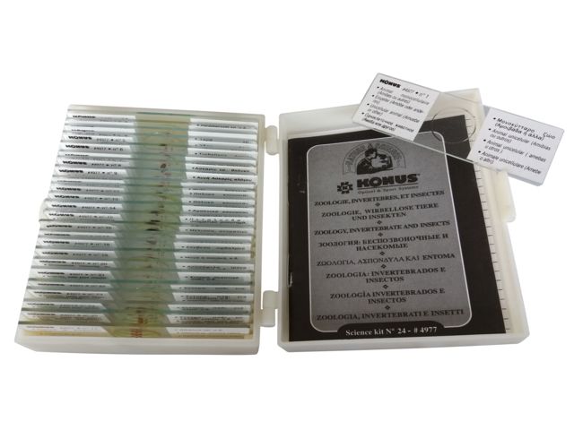 Konus Prepared Slides for Konus Kids Microscopes Set of 25 Set for Zoology Teaching Part 1