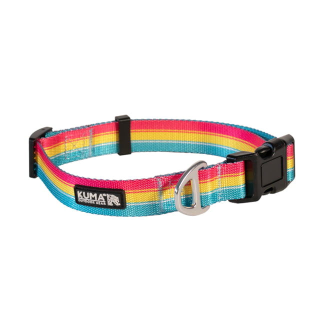 Kuma Outdoor Gear Backtrack Dog Collar Large 20-26in Lollipop Yellow/Pink/Teal