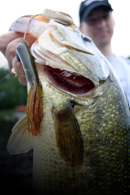 Lunkerhunt Spicy Revealer Tube 6 4.25in Dirty Candy