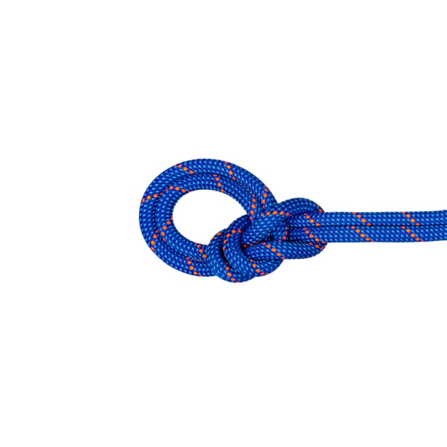 Mammut Mammut 9.5 Crag Dry Rope 60m Neon Green/Ocean - $264.95 at Optics Planet