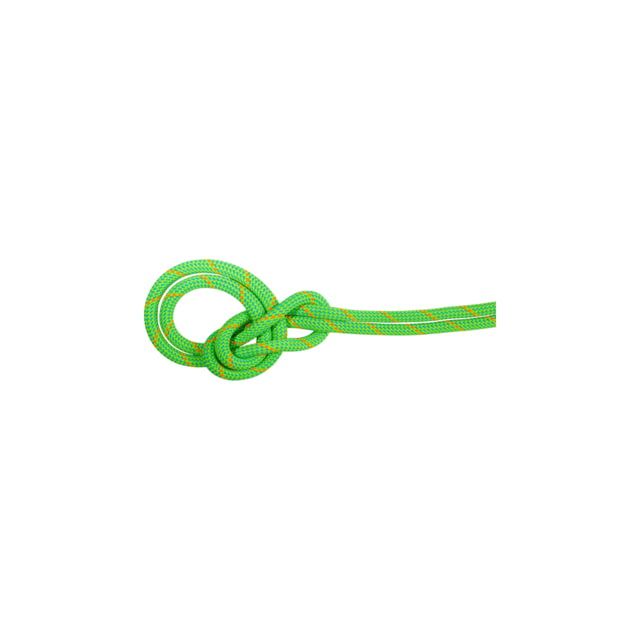 Mammut Mammut 9.5 Crag Dry Rope 60m Blue/Ocean - $264.95 at Optics Planet