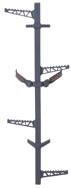Millennium Hang On Ladder - Millennium