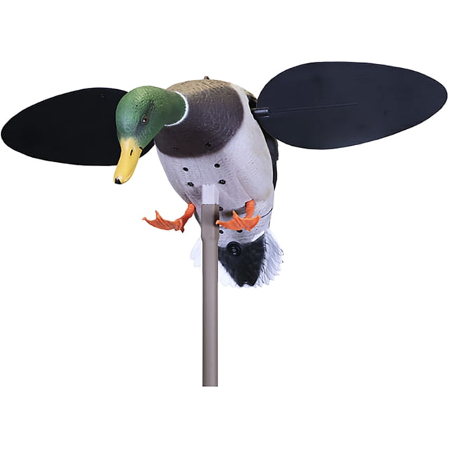 Mojo Baby Drake 2.0 Decoy Mallard Drake