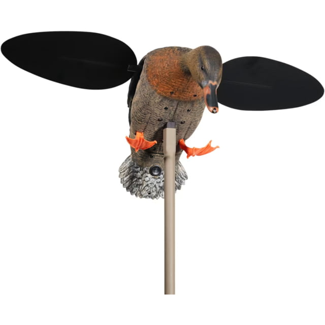 Mojo Baby Hen 2.0 Decoy Mallard Hen