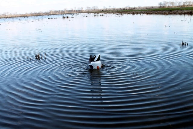 Mojo Butt Up Rippler Motion Decoy