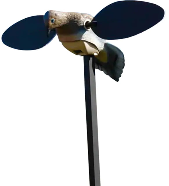 Mojo Elite Series Dove Decoy