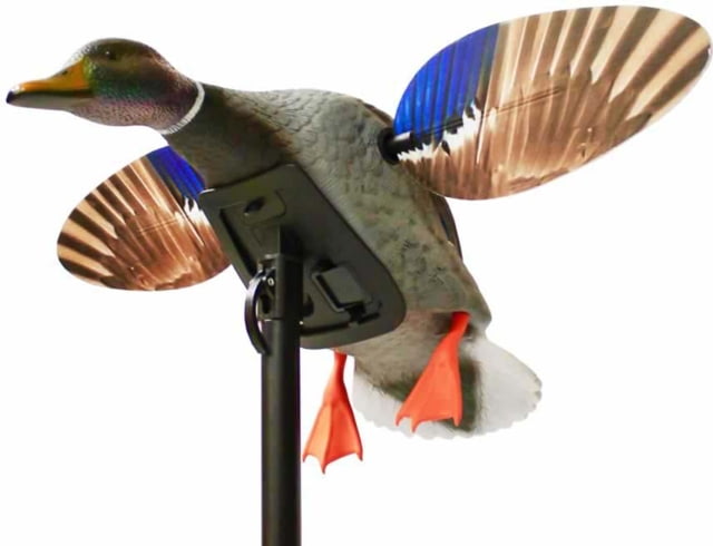 Mojo Mallard Elite Series Mini Mallard Drake Decoy Plastic - Mojo