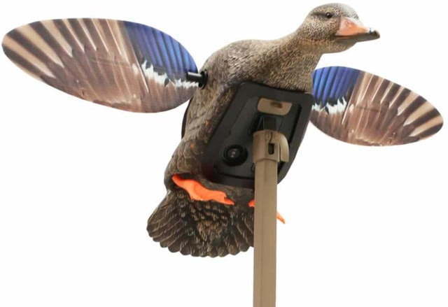 Mojo Mallard Elite Series Mini Mallard Hen Decoy Plastic - Mojo