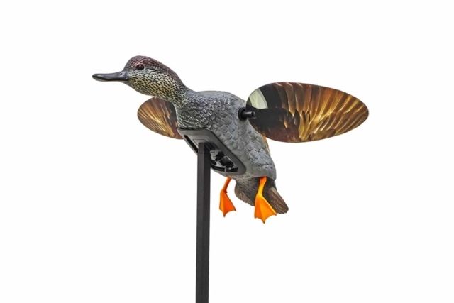 Mojo Gadwall Decoy Elite Series