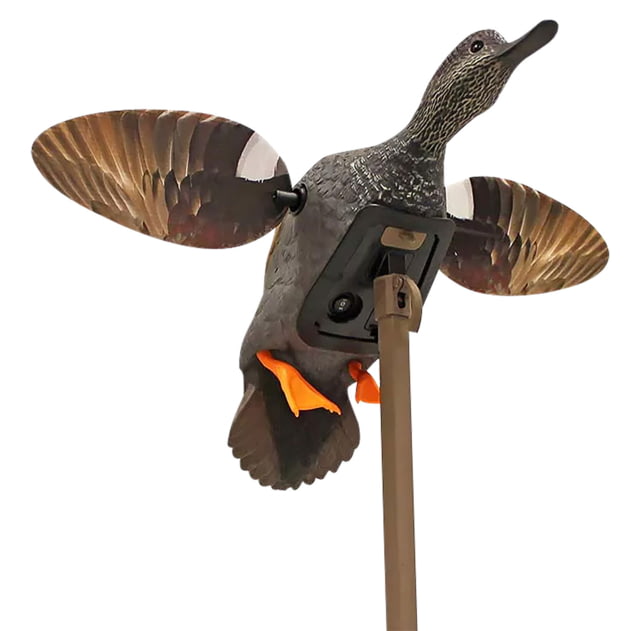 Mojo ES Gadwall Decoy