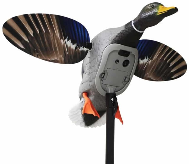 Mojo King Mallard Drakes Decoy - Mojo