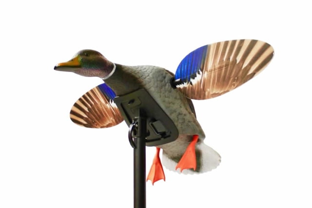 Mojo Mini Mallard Drake Decoy Elite Series - Mojo