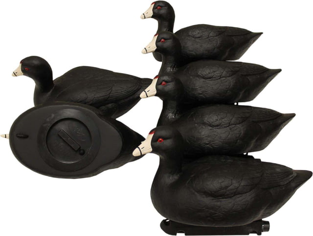 Mojo Coot Confidence Decoys 6 Pack Black - Mojo